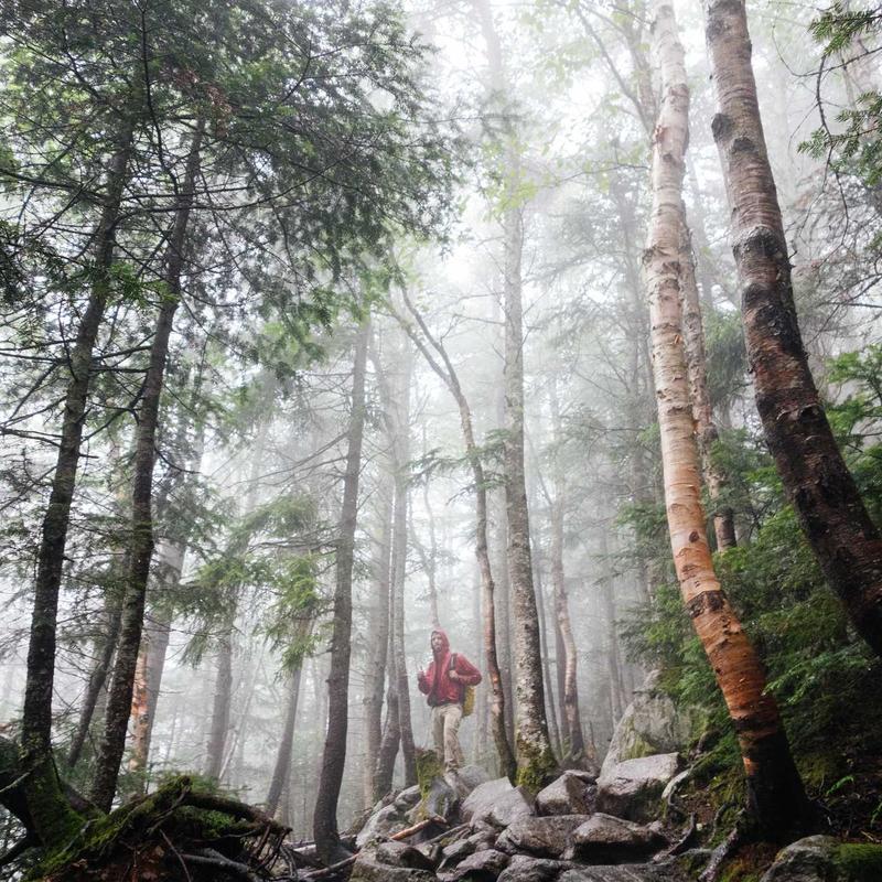tmpk4evaj5j